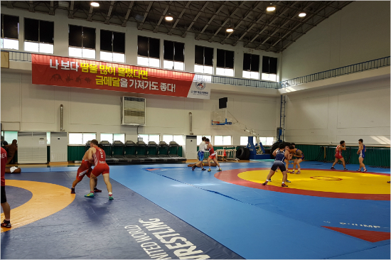진천 국가대표 선수촌 레슬링장에서 선수들의 훈련하는 모습.(사진=체육회)