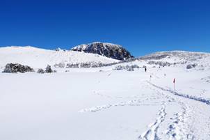 연말 마무리 방법은…파티 피플 VS 힐링 피플