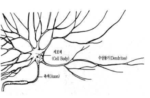 인간의 정보 처리 방식: 뉴런.  자료: 이베스트투자증권 리서치센터