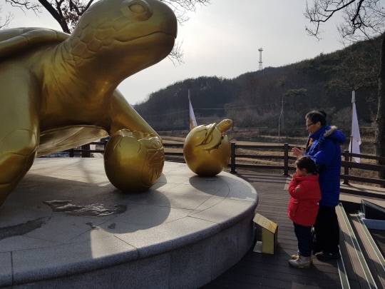황금복거북이 소원함(사진=청양군 제공)