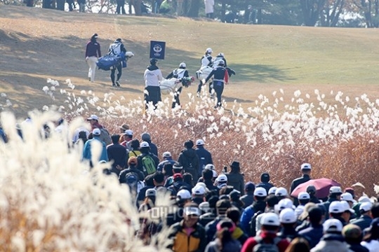 kLPGA 대회장을 찾은 구름 갤러리(사진 속 인물들은 사건과 관계없음). 사진=마니아리포트DB