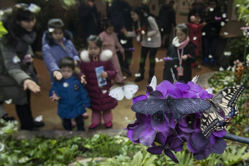 (사진=에버랜드)