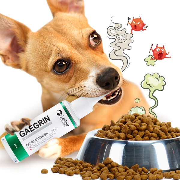 울지마마이펫, 반려견 입 냄새 잡는 ‘개그린’ 출시