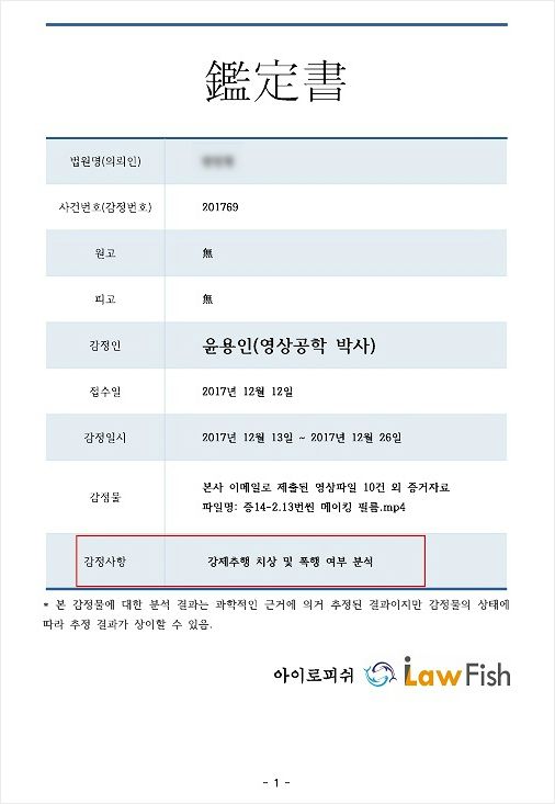 윤용인 박사의 영상감정서 1페이지. 빨간 박스 속 '감정사항'에 '강제추행 치상 및 폭행 여부 분석'이라는 문구가 적혀 있다. (사진=자료사진)