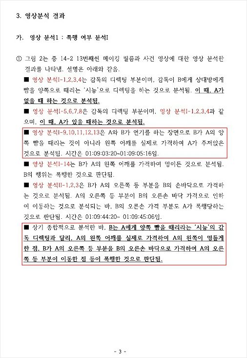 빨간 박스에 윤용인 박사가 기재한 폭행 여부 분석 소견. (사진=자료사진)