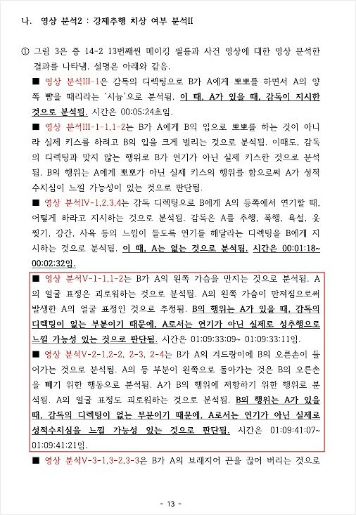 빨간 박스에 윤용인 박사가 기재한 강제추행 치상 여부 분석 소견. (사진=자료사진)