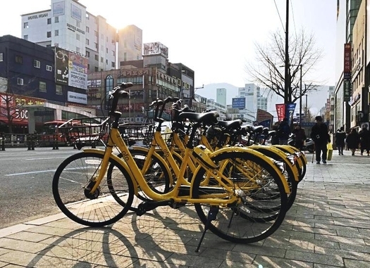 공유 자전거 업체 '오포', 부산 상륙