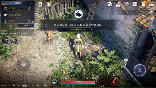 사다리를 만들어 주고 ‘마리아노의 고양이 지식’을 획득했다