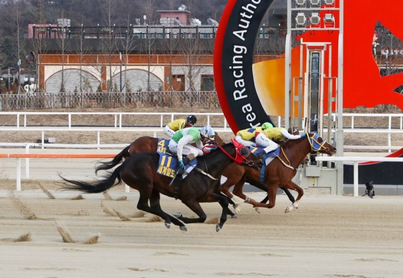28일 세계일보배 파이널보스와 문세영 기수 목차의 접전 승부(사진=마사회)