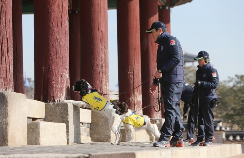흰개미 탐지견 활동사진 (사진=에버랜드)