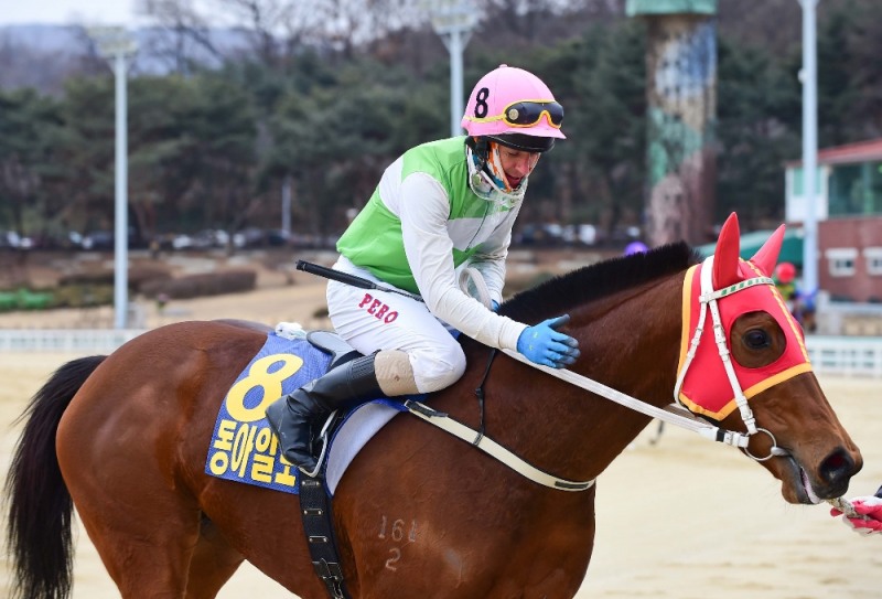 (사진=페로비치 실버울프)