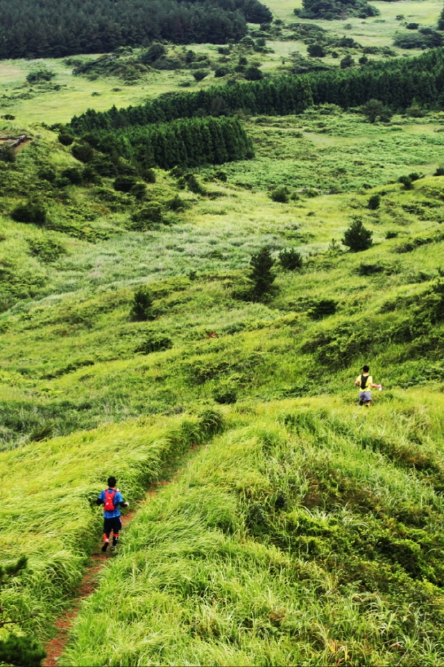 (사진=에어비앤비)