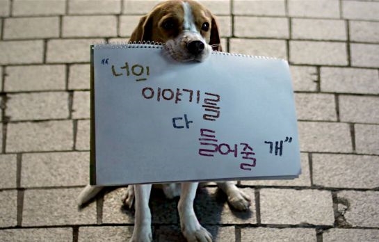 생명보험사회공헌재단 "청소년 고민 1위, 진로·성적"