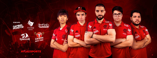 플라멩고 e스포츠.