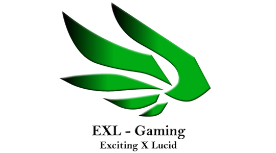 EXL 게이밍, 배틀그라운드 공인 프로팀 자격 박탈