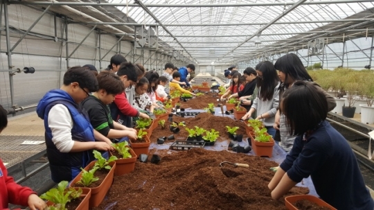 "도시민과 농업인 한 자리에"...남양주시 '도시농업한마당' 개최