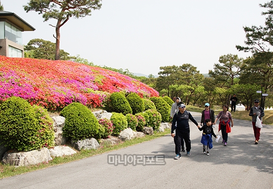 가족단위 갤러리들이 유독 많은 대회