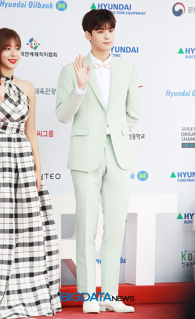 차은우, '2018 드림콘서트' 레드카펫 및 포토월 현장