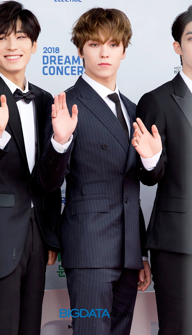 세븐틴 버논, '2018 드림콘서트' 레드카펫 및 포토월 현장