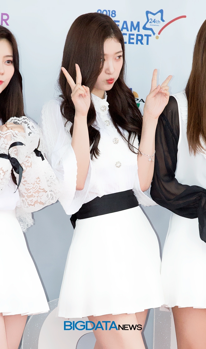 다이아 정채연, '2018 드림콘서트' 레드카펫 및 포토월 현장
