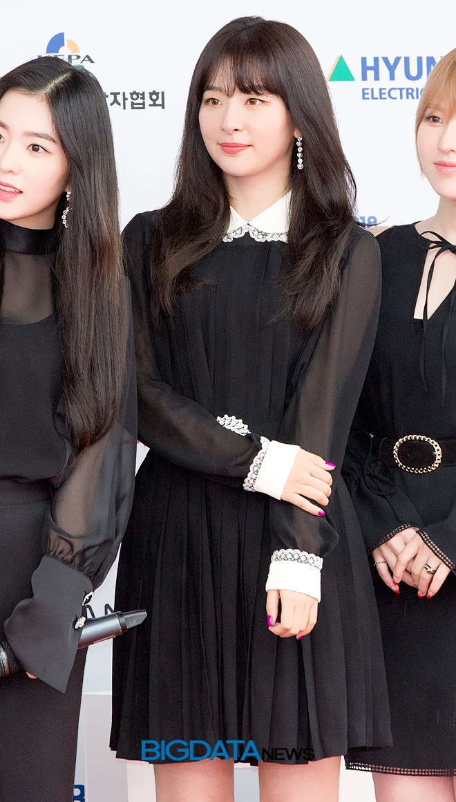 레드벨벳 슬기, '2018 드림콘서트' 레드카펫 및 포토월 현장