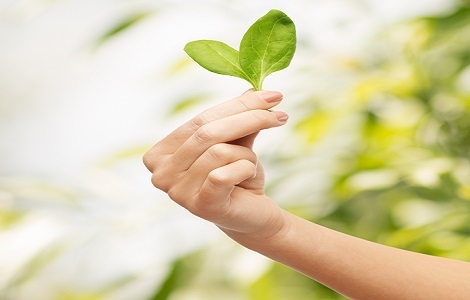 (사진=ClipartKorea)