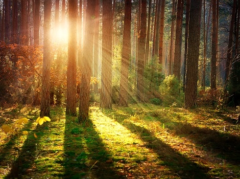 (사진=ClipartKorea)