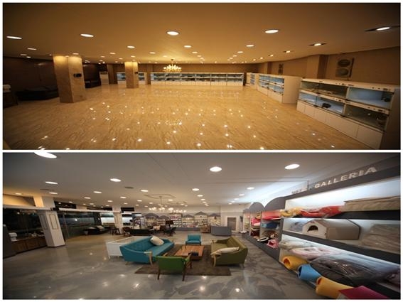 '펫갤러리아' 애견분양빌딩, 말티즈·포메라니안 강아지 분양 인기