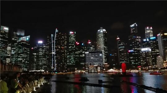 동남아시아에서 가장 높은 소득 수준을 자랑하는 도시국가 싱가포르의 야경.