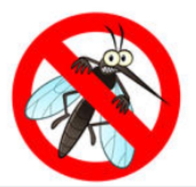 한여름밤의 불청객 '모기' 색다른 퇴치법은?