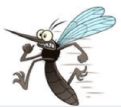 한여름밤의 불청객 '모기' 색다른 퇴치법은?