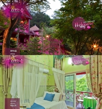 동화처럼 낭만 가득한 법수치 계곡 펜션, 양양 ‘꿈꾸는숲’