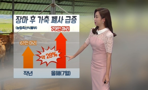 ⓒ KBS 뉴스 화면