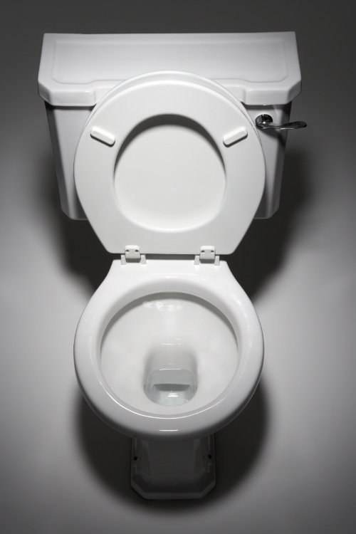 20∼40대 기혼남녀 70%, "화장실 청소가 제일 싫다"