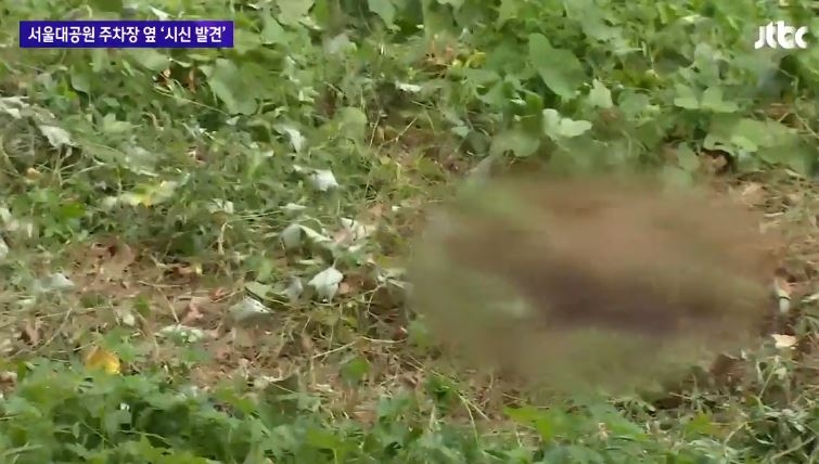 사진출처=JTBC 캡처