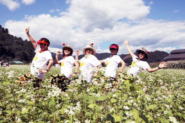 메밀꽃 피는 9월, 2018 평창 효석문화제 놓치지 마세요