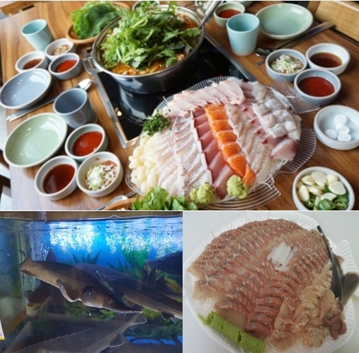 단골 마음 사로잡은 노량진수산시장 맛집 ‘부산항’