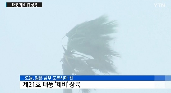 사진=YTN 방송화면 캡처