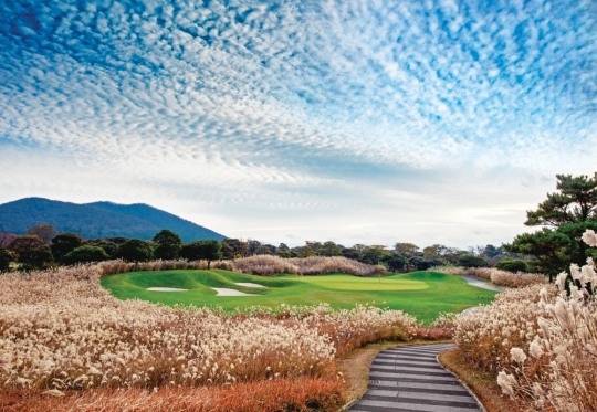 엘리시안제주 파인 7번 홀 전경. 마니아리포트DB