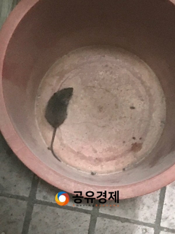 (사진: 커뮤니티 캡처)