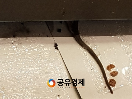(사진: 커뮤니티 캡처)