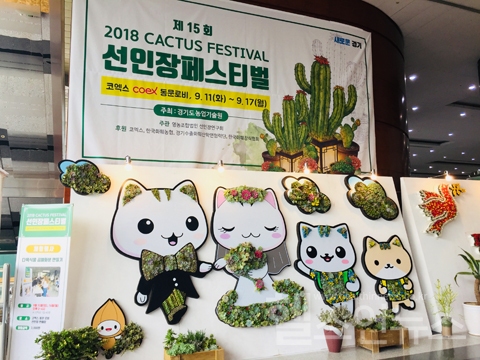 강남 코엑스서 만나는 신선한 초록 힐링 기운 '2018 선인장페스티벌'