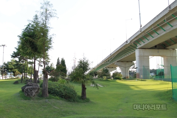 기흥JMS 파3 연습장 모습.