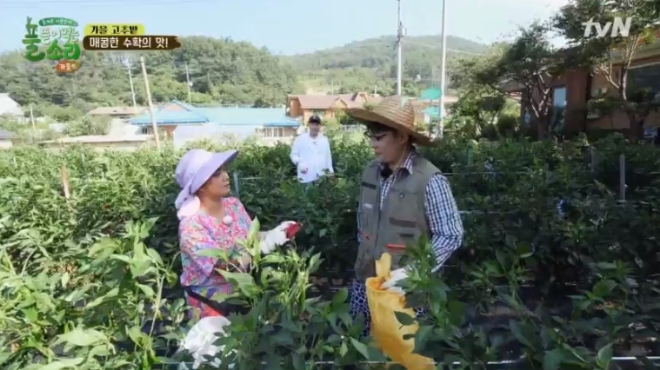 tvN '풀 뜯어 먹는 소리' 방송 화면