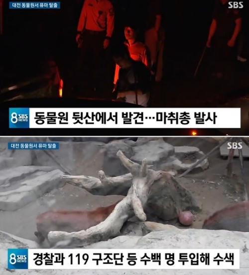 ⓒ SBS 뉴스 화면