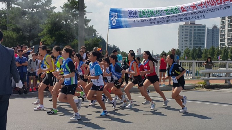 (사진=2017년 경상북도 교육감배 시·군 대항 구간 마라톤대회 장면)