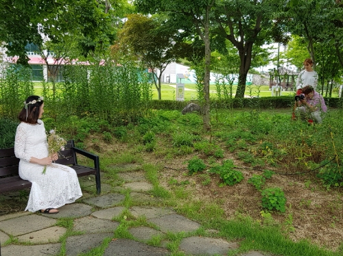 곡성군이 'D라인 페스티벌'을 개최했다. (사진=곡성군 제공)