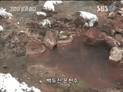 사진=SBS 그것이 알고싶다 방송화면