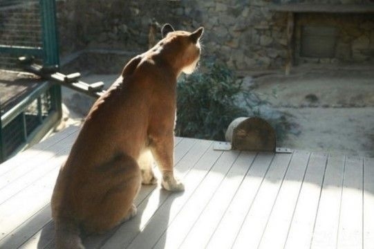 사진=온라인 커뮤니티