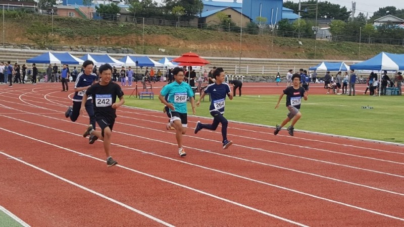 충남교육청, 장애학생 체육꿈나무들 기량 마음껏 발휘